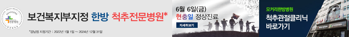 현층일 진료안내